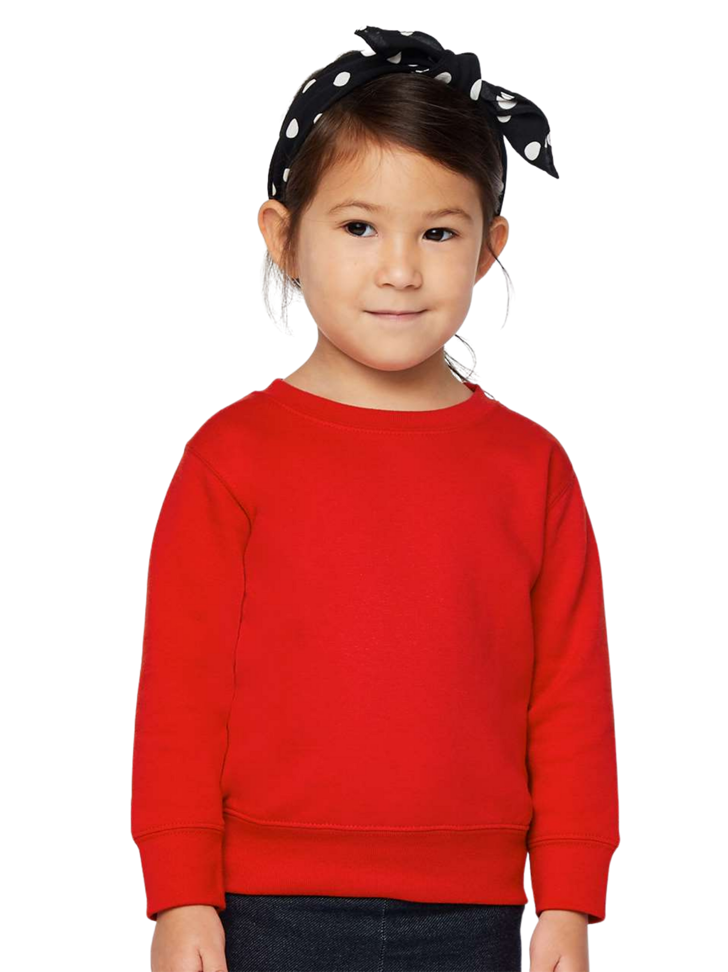 Generic 3317 Eco-Soft Style Toddler Sweatshirt