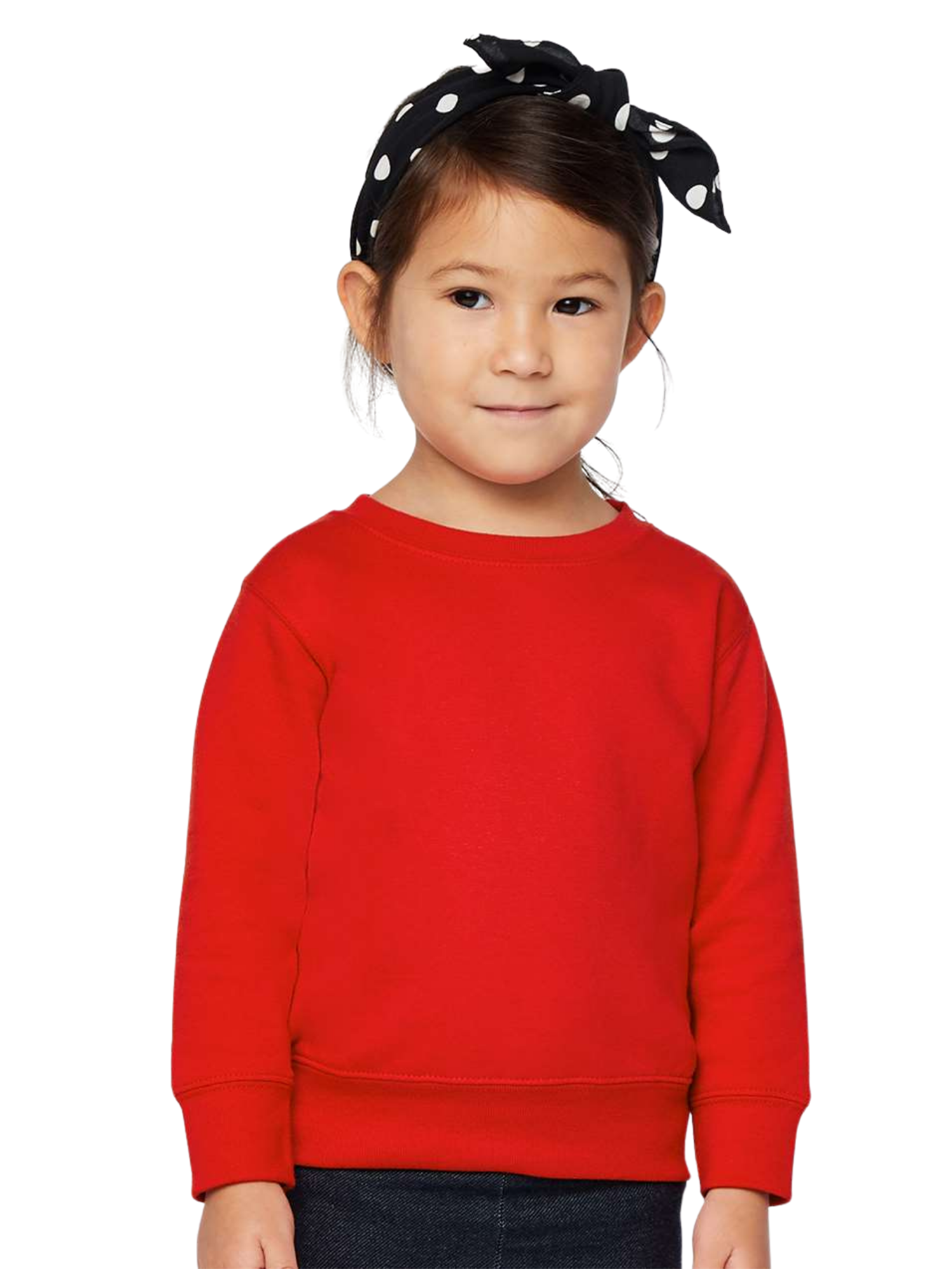 Generic 3317 Eco-Soft Style Toddler Sweatshirt