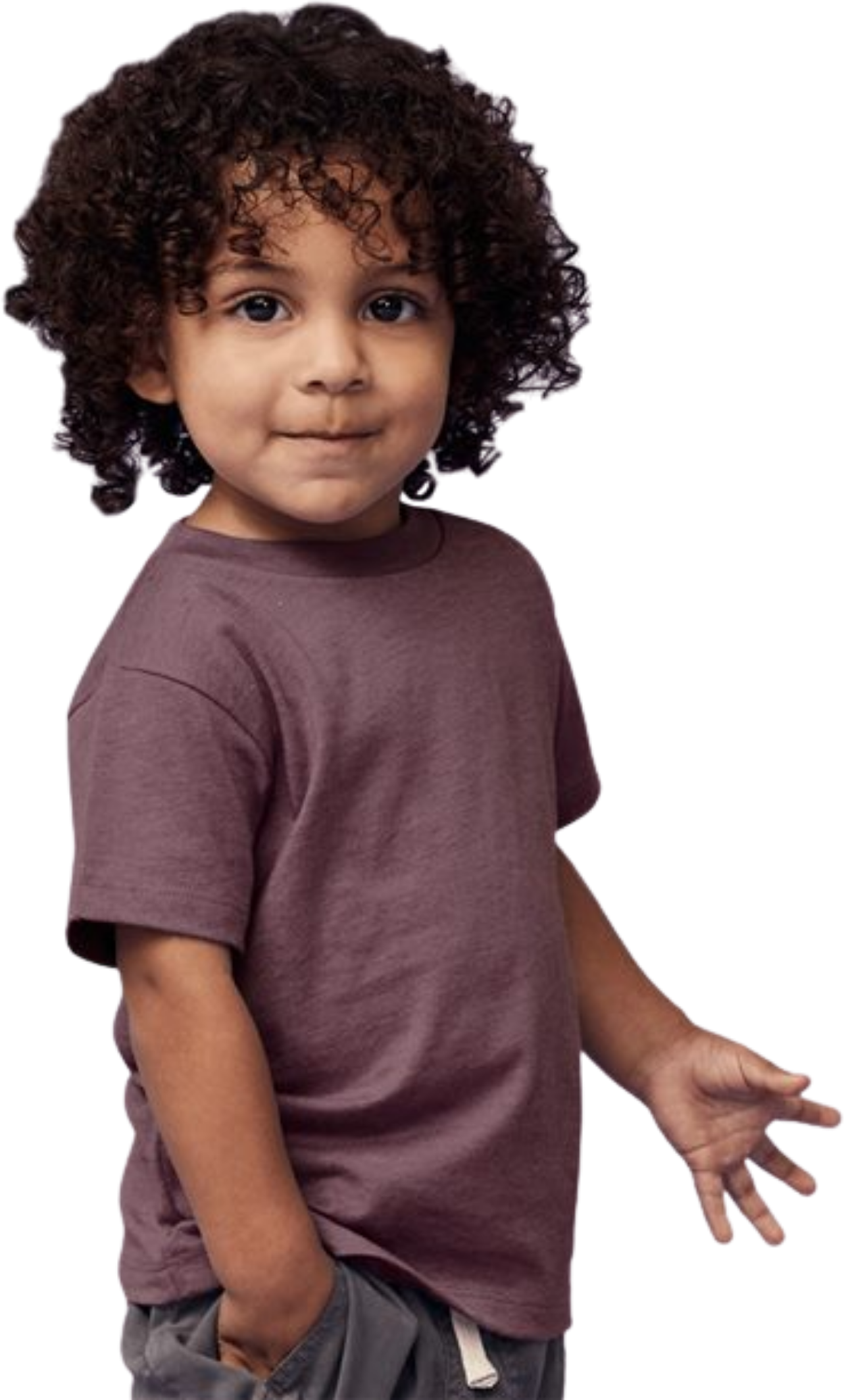 Generic 1001T Eco-Soft Style Toddler Tshirt 